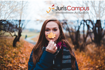 ISF et décote des parts de SCI pour fiscalité latente