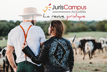 #focus – Réponse ministérielle CIOT : confirmation et précision