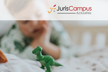 Donation et révocation pour cause d’ingratitude