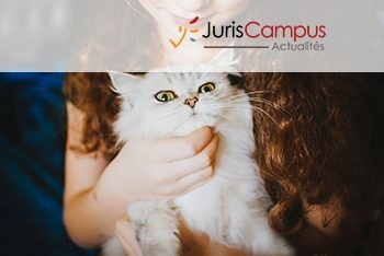 Modalités d’attribution du capital issu des contrats d’assurance vie