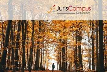 Impact environnemental des mesures budgétaires