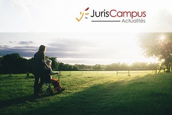 Insanité d’esprit et curatelle