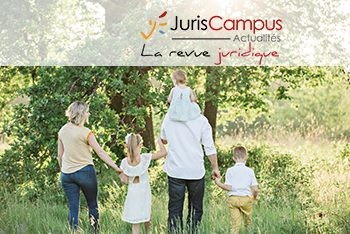 #focus – Commentaire de l&rsquo;abus de droit par l&rsquo;administration fiscale : la donation d&rsquo;usufruit temporaire est-elle une stratégie sécurisée ?