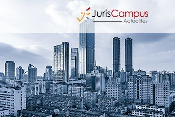 Holding animatrice et pacte Dutreil : l’occasion manquée